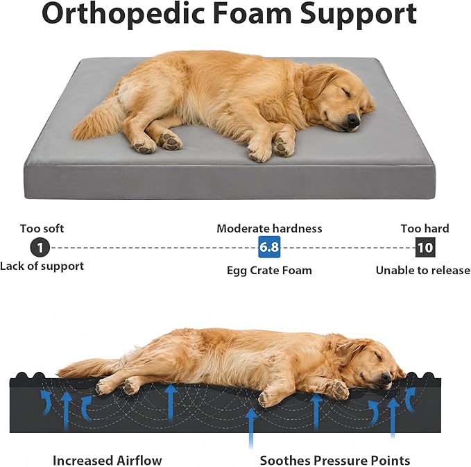 LEXTRO 3" Indestructible Chew-Proof Dog Bed for Heavy Chewers, Chew-Resistant & Durable Dog Beds for Teething Puppies & Energetic Dogs, Bite-Resistant and Undestroyable Dog Beds, 36x27x3, Grey