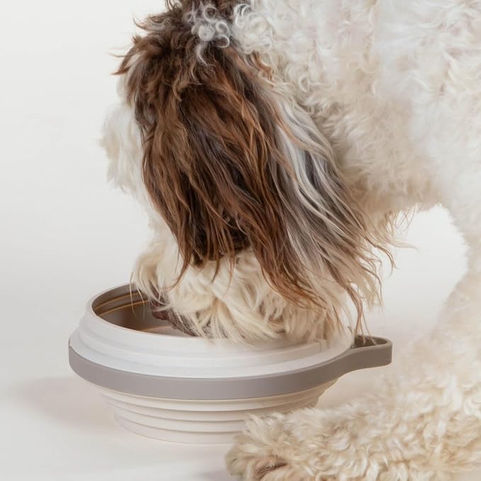 Cleverpup Nomad Large Collapsible Travel Dog Bowl - 4 Cup BPA-Free Silicone for Medium & Large Dogs, Portable, Food & Water, Dishwasher Safe - Sand