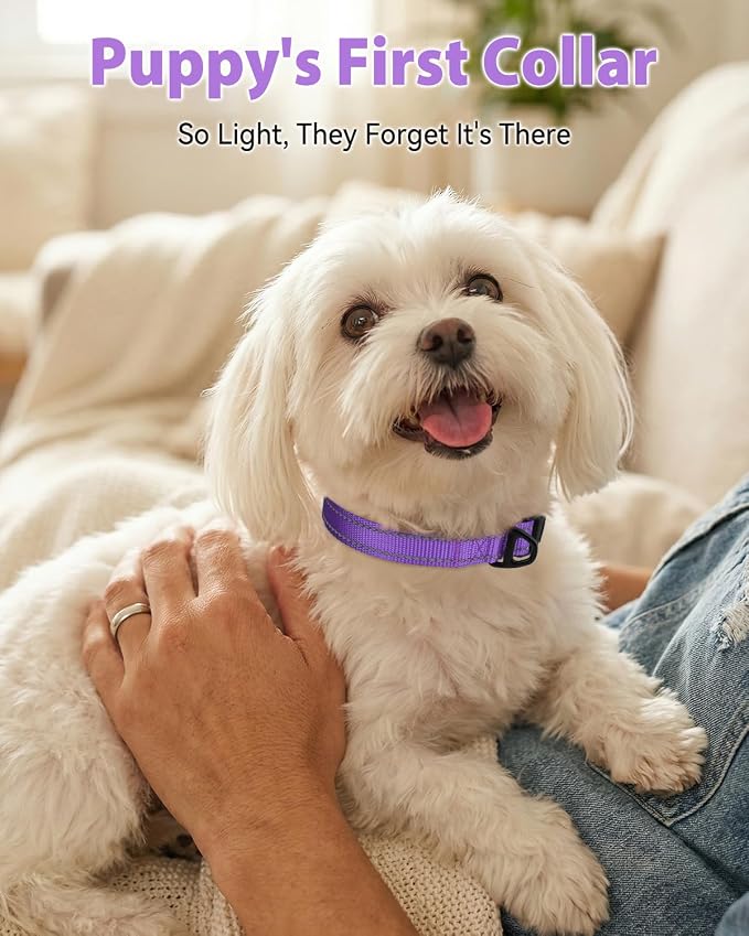 Joytale Dog Collars for Small Dogs, Feather-Light Double-Sided Reflective Nylon Collar for Night Safety, Adjustable Quick-Release for Growing Puppies, Purple, S (5/8" Width)