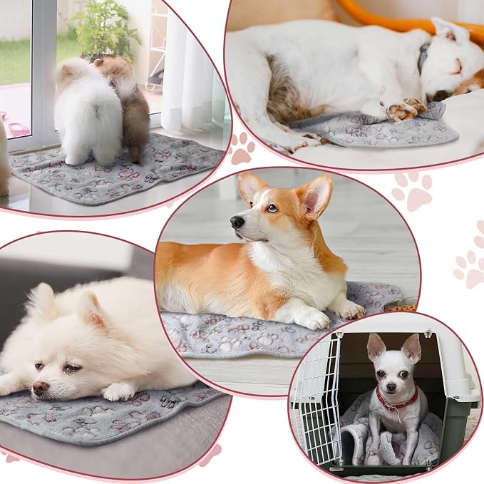 Reginary 4 Pcs Waterproof Guinea Pig Blankets Washable Small Animal Fleece Bedding Absorbent Guinea Pig Cage Liners Reusable Training Pee Pad Pet Sleep Mat for Hamster(Adorable Paw,12 x 12 Inch)