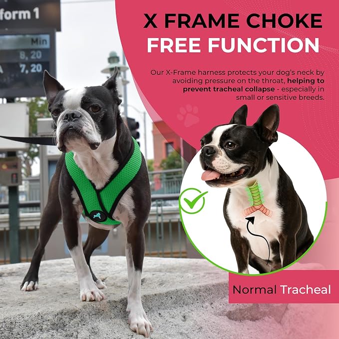 Gooby Comfort X Head in Harness - Hunter Green, Medium - No Pull Small Dog Harness Patented Choke-Free X Frame - On The Go Dog Harness for Medium Dogs No Pull or Small Dogs for Indoor and Outdoor Use