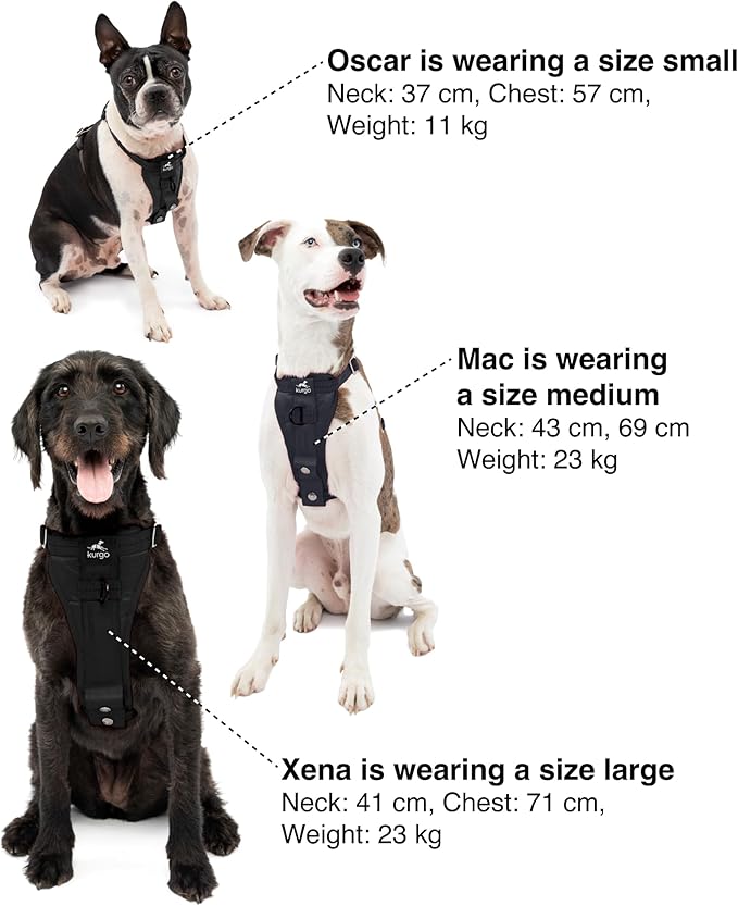 Kurgo Enhanced Strength Tru-Fit Dog Car Harness - Pet Travel Safety Harness - Crash Test Certified Fit - Five Point Adjustment - Secure Buckle - Padded Chest - Black - Medium