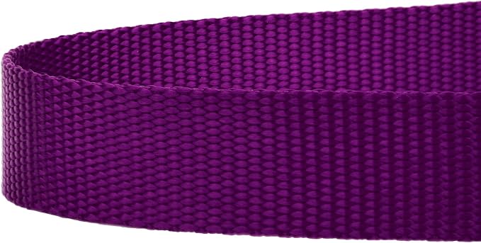 Country Brook Petz - Everyday Nylon Dog Leash - Strong, Durable, Solid Color Leash with Easy to Use Snap - 25+ Colors (1 Inch Wide, 4 Foot, Purple)