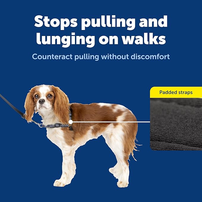 PetSafe Easy Walk Deluxe Dog Harness, No Pull Dog Harness Perfect for Leash & Harness Training Stops Pets from Pulling and Choking on Walks Small, Steel