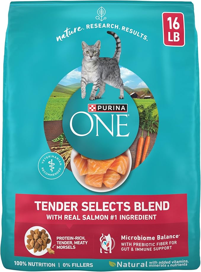 Purina ONE Natural Dry Cat Food, Tender Selects Blend With Real Salmon - 16 lb. Bag