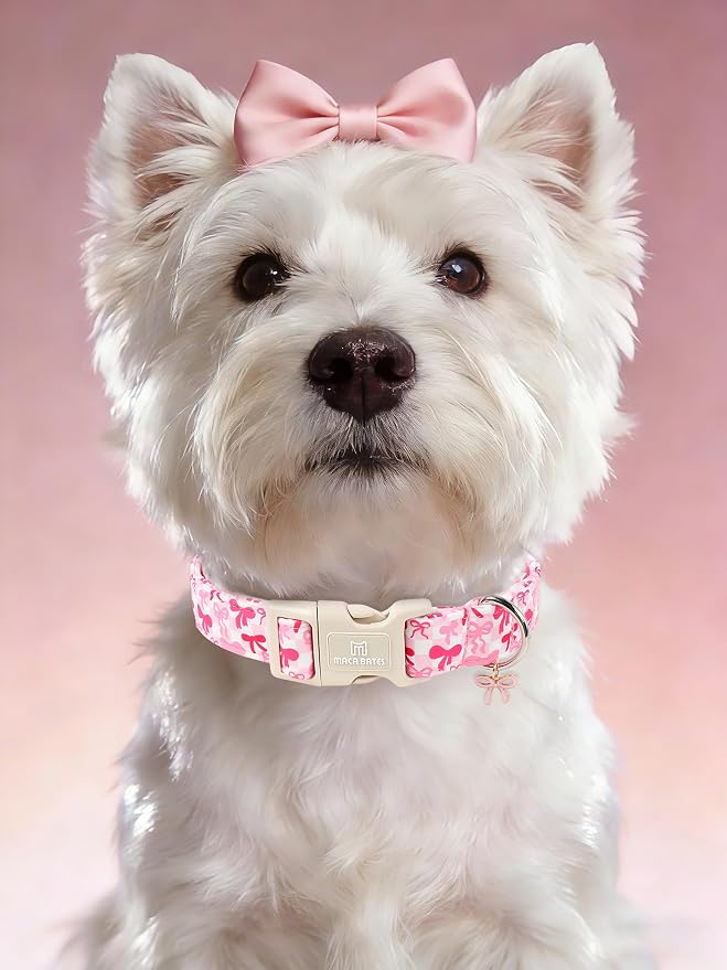 Maca Bates Pink Bow Basic Dog Collar with Cute Sailor Bowtie Charm for Medium Girl Dogs, Girly Bows Gingham Pattern,Feminine Style Adjustable Durable Soft Collars Birthday Gift for Female Puppy