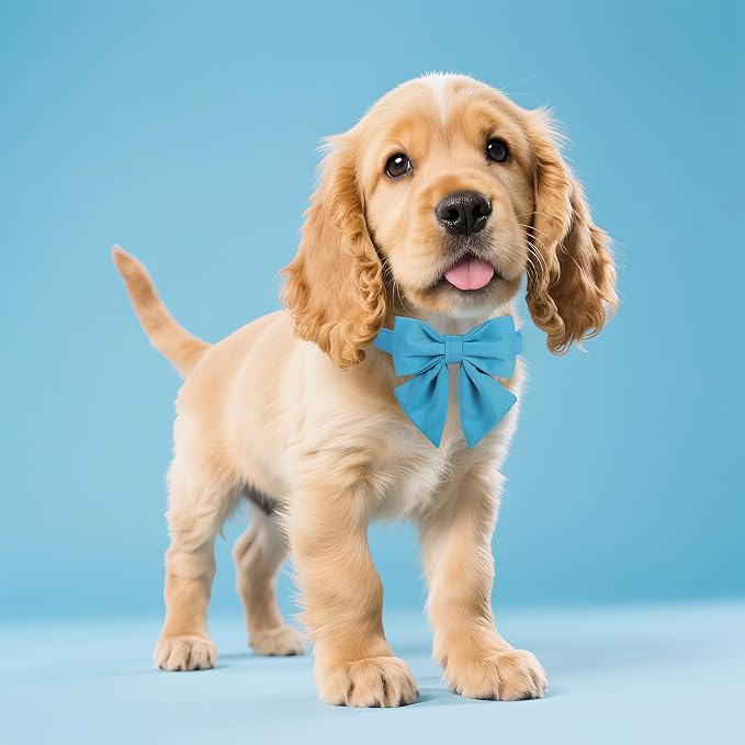 Maca Bates Sky Blue Dog Collar with Cute Solid Sailor Bow Tie for Large Girl Boy Dogs,Adjustbale Durable Breakaway Soft Collars with Bowtie for Female Male Puppy,Pet with Metal Buckle