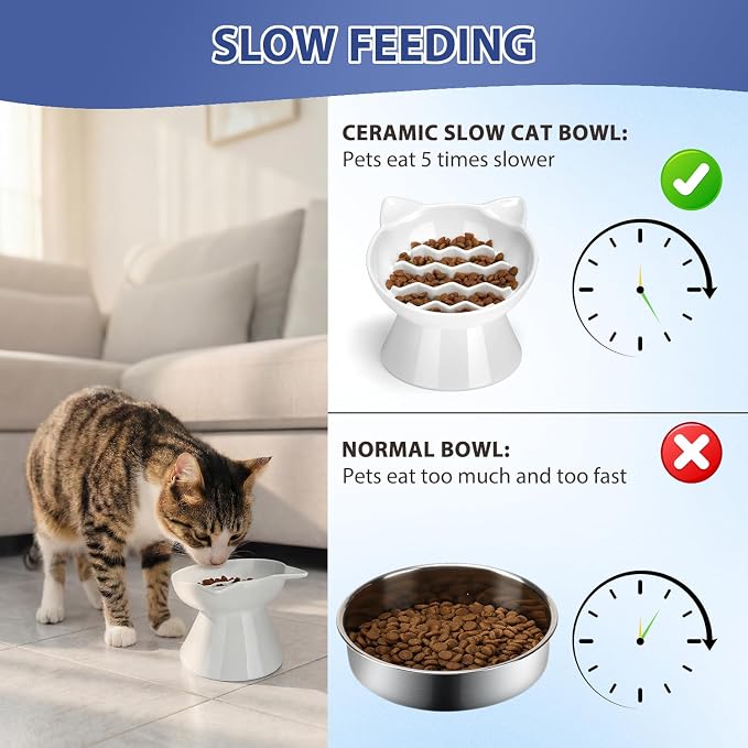 Ceramic Slow Feeder Cat Bowl, 2 Cups Tilted Elevated Cat Slow Feeder Bowl for Dry and Wet Food, Honeycomb Design for Preventing Vomiting & Bloating (White-Cute Kitten)