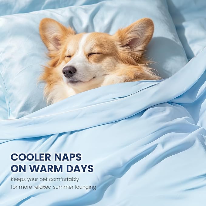 Mora Pets Premium Cooling Blanket for Dogs, Q-MAX>0.5 Washable Breathable Cooling Mat, Lightweight Soft Summer Pet Throw Blanket, Furniture Protector Bed Couch Cover for Medium Dog Cat, Blue, 40x60