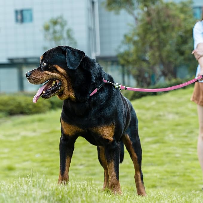 Dog Leash, Braided Rope Traction – Walking Training Lead for Medium/Large Dogs ((1/2") x 6FT, Pink)