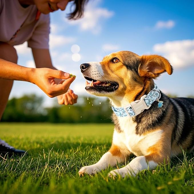 ARING PET Dinosaur Dog Collar, Blue Summer Pet Collars with Quick Release Buckle for Puppy Small Medium Large Boy Girl Dogs-L