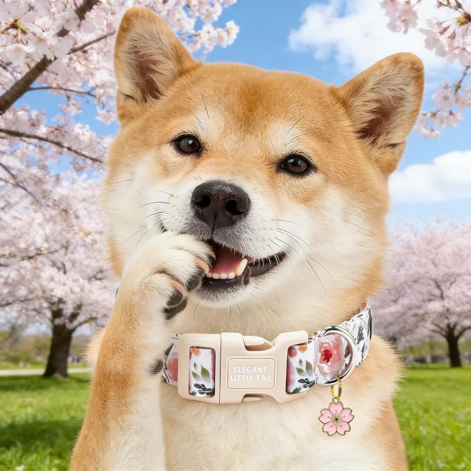 Elegant little tail Dog Collar - Pink Floral Dog Collars Cute Spring Puppy Adjustable Pet Collars with Sturdy Quick Release Buckle for X-Small Dogs