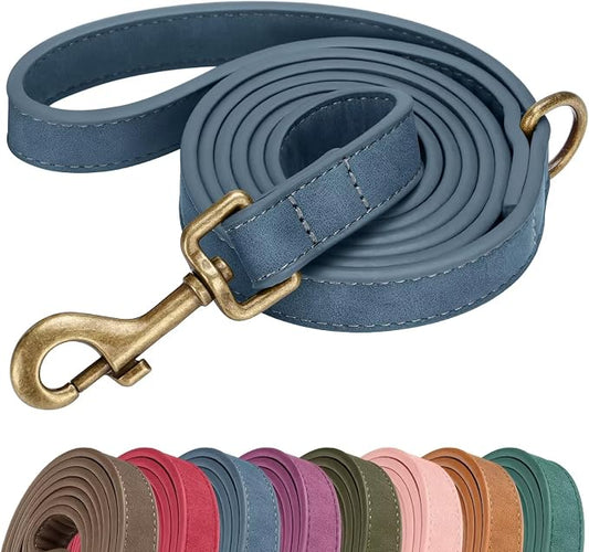Didog Stylish PU Leather Dog Leash for Small Dogs, Easy to Clean 5ft Small Dog Leash with Metal Tangle-Free Clip, Fashionable and Elegant for Walking, Running and Training,Blue, S
