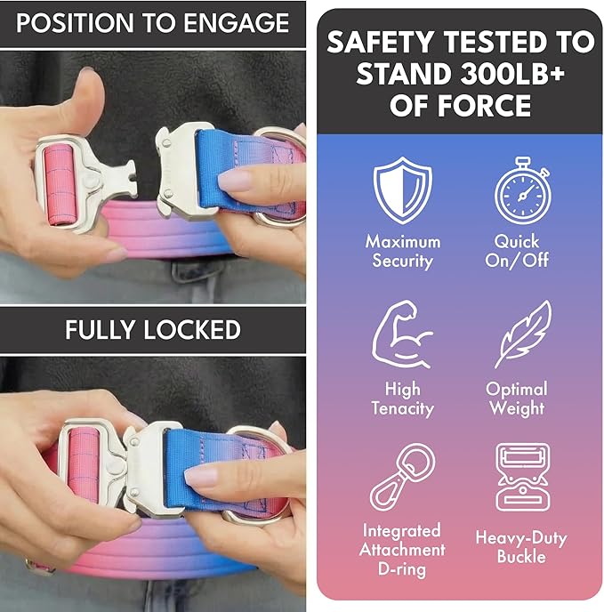 Spark Paws Tactical Dog Collar - Heavy Duty, Premium Quality, Thick and Durable for Large and Medium Dogs - Snow Cone - XS - 1"