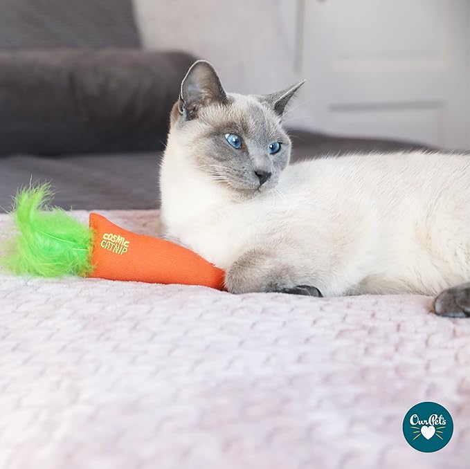 OurPet's 100-Percent North American Catnip Filled Carrot Cat Toy 24 Karat (Pack of 2)
