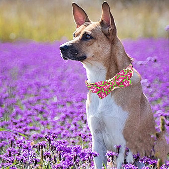 Elegant little tail Dog Collar, Dill Pickles Print Pet Collars with Bow Soft Cutton Boy Puppy Gift Adjustable Pink Bowtie Dog Collar for X-Small Puppy