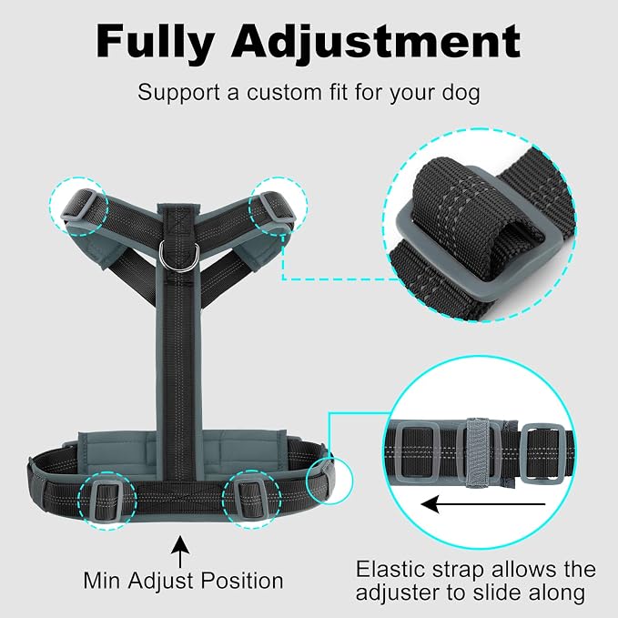 Plutus Pet No Pull Dog Harness, Adjustable Nylon Harness with Soft Padding, Reflective and Heavy Duty Dog Harness for Small, Medium, Large Dogs(Black, XS)