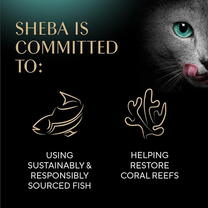 Sheba Perfect Portions Wet Cat Food Pate, Savory Chicken, Tender Beef, Tender Whitefish & Tuna Entree, Cat Food Wet Recipe Variety Pack, 2.6 oz. Twin-Pack Trays (36 Count, 72 Servings)