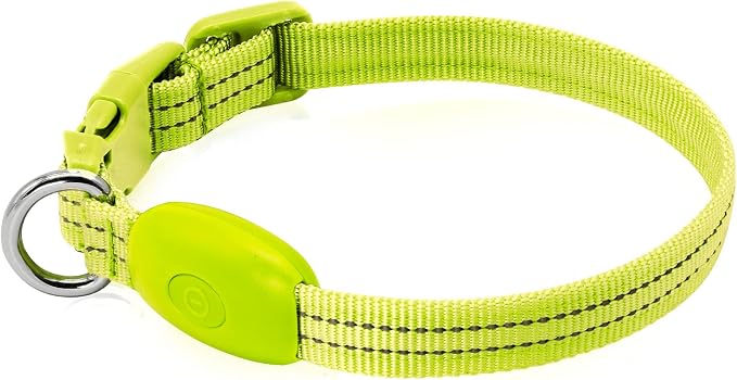 Light Up Dog Collar, Rechargeable USB Collar, Waterproof, Luminous LED Collar, Adjustable, Super Bright, Night Walking for Small Medium Large Dogs, Green, S