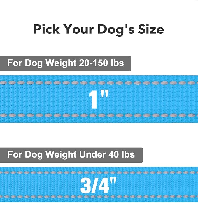 Taglory Dog Leash for Small Dogs, Double-Sided Reflective for Night Walking, Neoprene Padded Handle, 3/4 inch by 5 ft, Lightweight for Small Medium Breeds up to 30 lbs, Sky Blue
