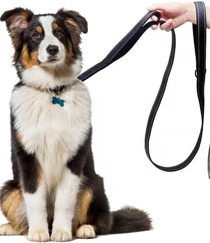 Solmoony 4FT Orange Strong Dog Leash with 2 Padded Handles, Traffic Handle Extra Control, Double-Sided Reflective Walking Lead for Small Medium and Large Dogs(Orange, 4FT)