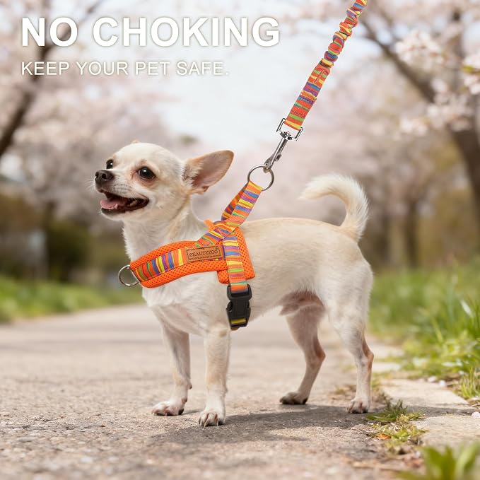BEAUTYZOO Dog Harness for Small Dogs,No Pull Dog Harness and Leash Set,Soft Breathable Escape Proof Puppy Vest Harnessss with Handle,Lightweight Quick Fit Harness for Girl Boy Dogs Training Walking,S