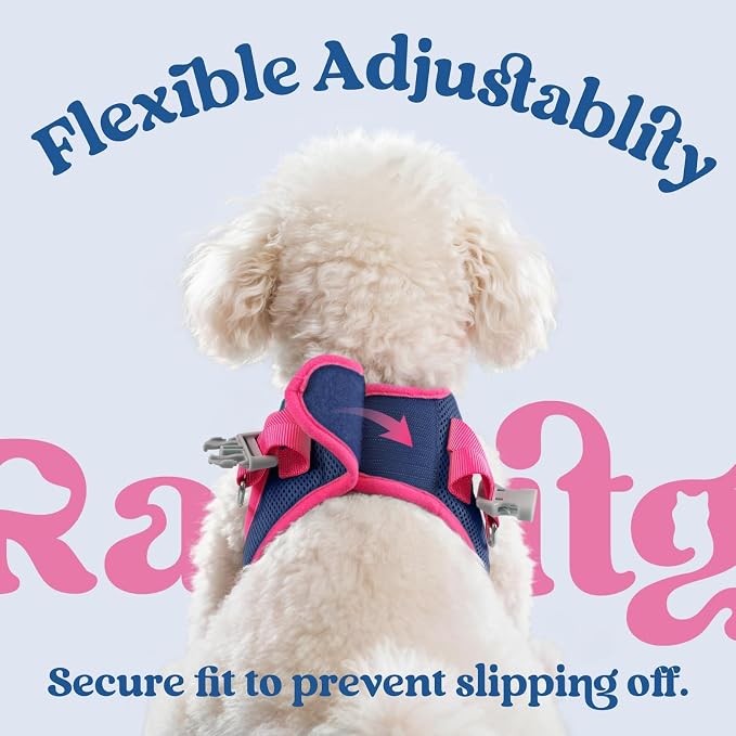 rabbitgoo Dog Harness Small Sized and Leash Set, Step-in Breathable Pet Harness, Soft Walking Reflective Puppy Vest for Small Dogs, Blue & Rose Red, S