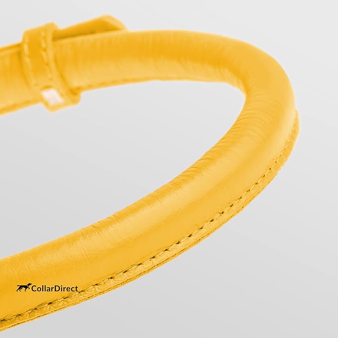 CollarDirect Rolled Leather Dog Collar, Soft Padded Round Puppy Collar, Handmade Genuine Leather Collar Dog Small Large Cat Collars 13 Colors (11-14 Inch, Yellow Textured)