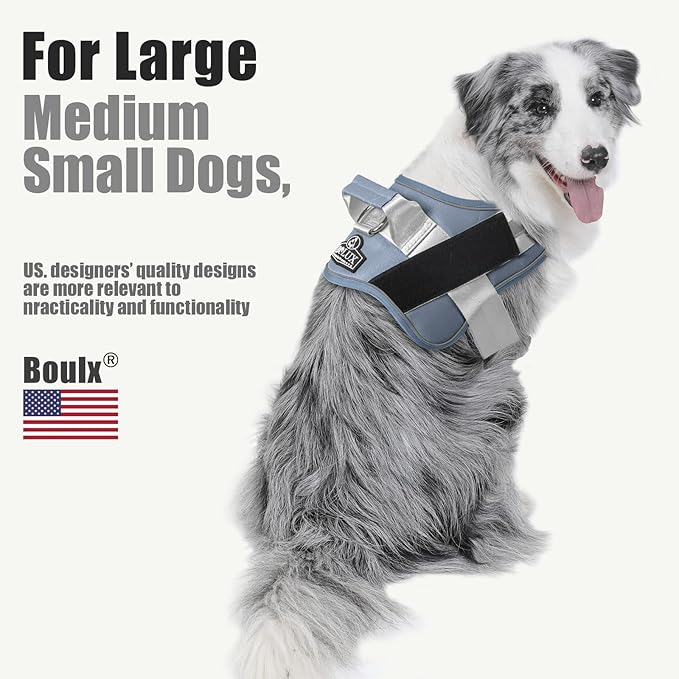 Dog Harness, No-Pull Reflective Dog Vest, Breathable Adjustable Pet Harness with Handle for Outdoor Walking - No More Pulling, Tugging or Choking (Blue, XL)