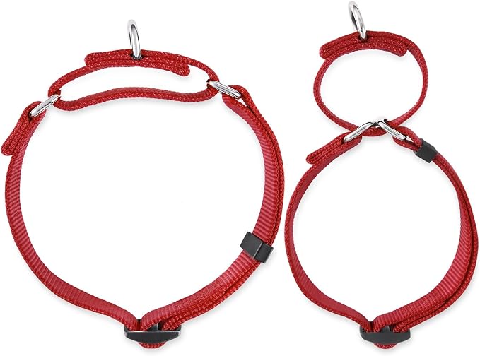 Hyhug Martingale Collar for Dogs Small Red |Escape - Proof Heavy Duty Nylon Durable No Buckle, Ideal for Training & Daily Walks