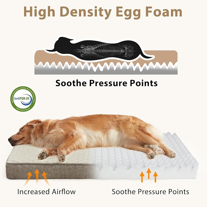JOEJOY Orthopedic Dog Bed for Large Dogs, Washable Dog Crate Bed Large Sized with Removable Cover, Egg Memory Foam Big Pet Beds, Beige, 35"x22"