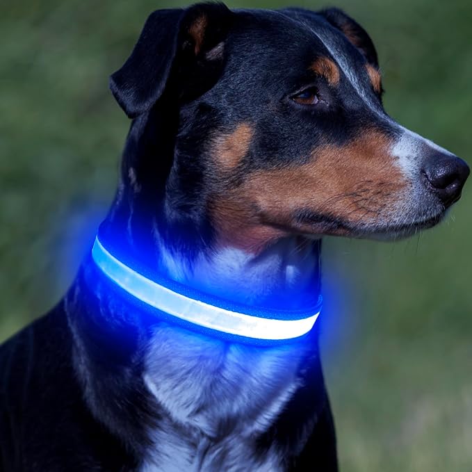 Vizpet LED Dog Collar, Light Up Dog Collar Adjustable USB Rechargeable Super Bright Safety Light Glowing Collars for Dog(Large,Blue)
