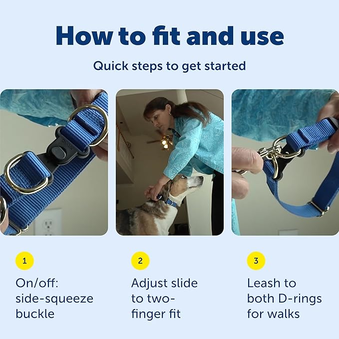 PetSafe KeepSafe Break-Away Collar 1 in Wide, Large, Royal Blue Prevent Collar Accidents for Your Dog or Puppy Improve Safety, Compatible with Leash Use, Adjustable Sizes