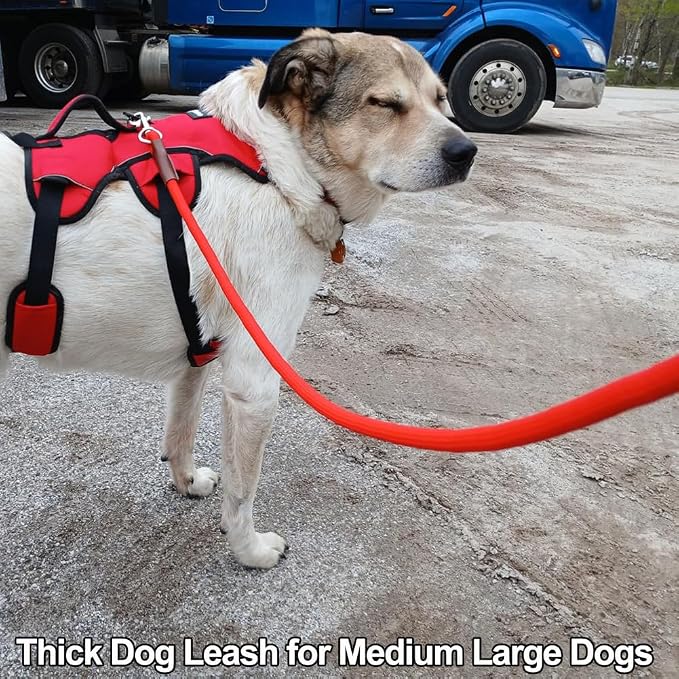 MayPaw 4/6 /8/10 FT Dog Leash, Classic Solid Colors, Strong Nylon Rope Dog Leash Reinforced with Leather Tailor Connection Heavy Duty Silver Clasp (red, 6ft*1/2")