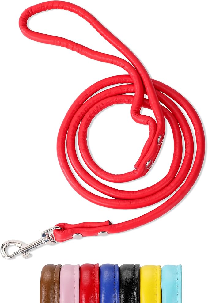 Red Soft Leather Dog Leash for Small,Medium Dog Walking, Comfortable Leather Handle, 4 ft Red