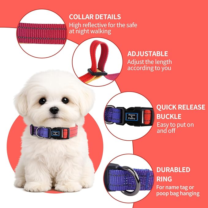 Roses&Poetry Dog Collars for Medium Dogs, Adjustable Durable Pet Reflective Dog Collar for Small Medium Large Dogs(PurpleOrange-M)