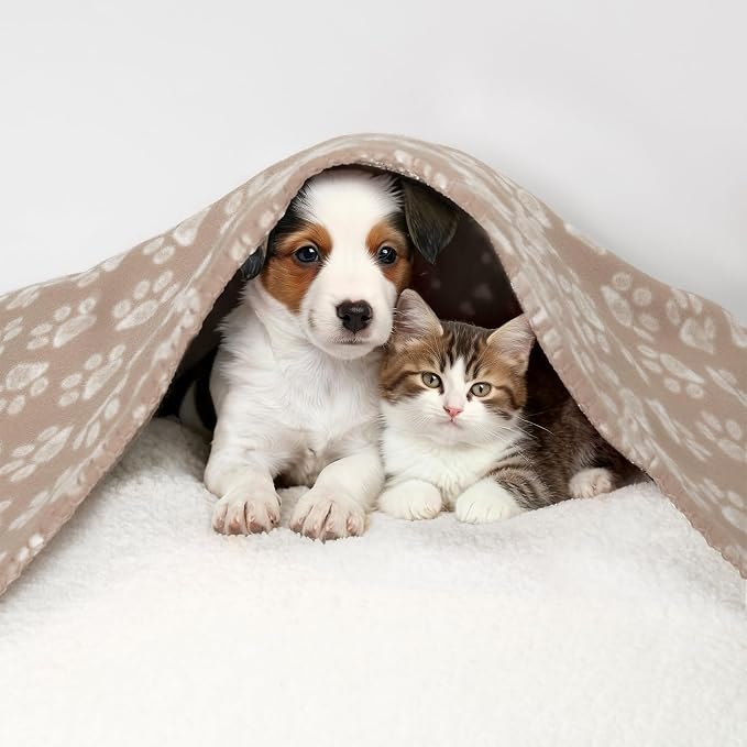 CAI TENG 3 Pack Pet Blankets for Small Dogs Dog Blanket 21x30 Inch Soft Pet Fleece Blanket Warm Puppy Essentials for Bed Cute Paw Printed Throw Dog Brown