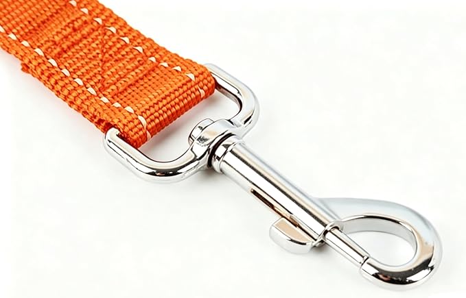 6 FT Reflective Dog Leash, Nylon Heavy Duty Leashes with Soft Padded Handle for Small Medium Large Dogs Walking, 1 Inch Wide Orange