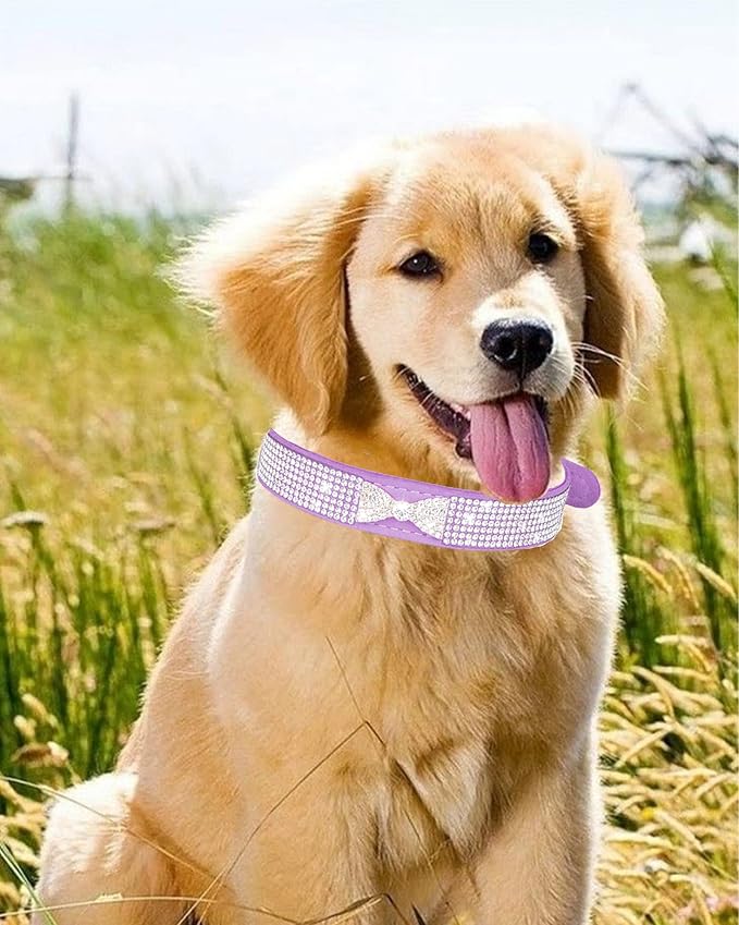Dog Collar for Small Dogs, Adjustable Leather Suede Bling Dog Collars，Pink Dog Collar Cat Collar, Rhinestone Dog Collar (S, Rose red4)