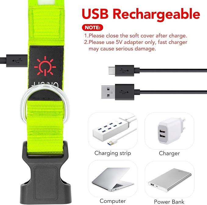 Vizpet LED Dog Collar, Light Up Dog Collar Adjustable USB Rechargeable Super Bright Safety Light Glowing Collars for Dogs(X-Large,Green)