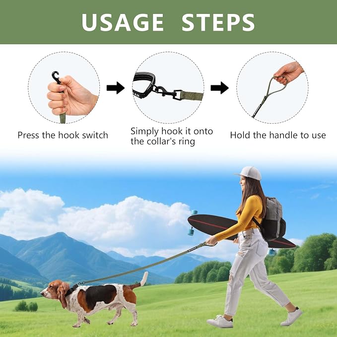 Reflective 6 FT Dog Leash, Premium Traditional Style Puppy Leash with Easy to Use Collar Hook for Small, Medium, and Large Breed Puppies (Green, 3/4 in x 6 ft)