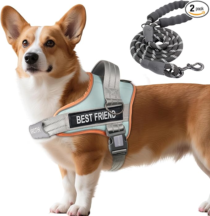 AUROTH Dog Harness and Leash Set, Soft Padded Service Dog Vest with 5.25FT Dog Leash, No Choke, Easy On Pet Vest, Adjustable Reflective No Pull Dog Harness Small Sized Dog, Easy Walking and Training