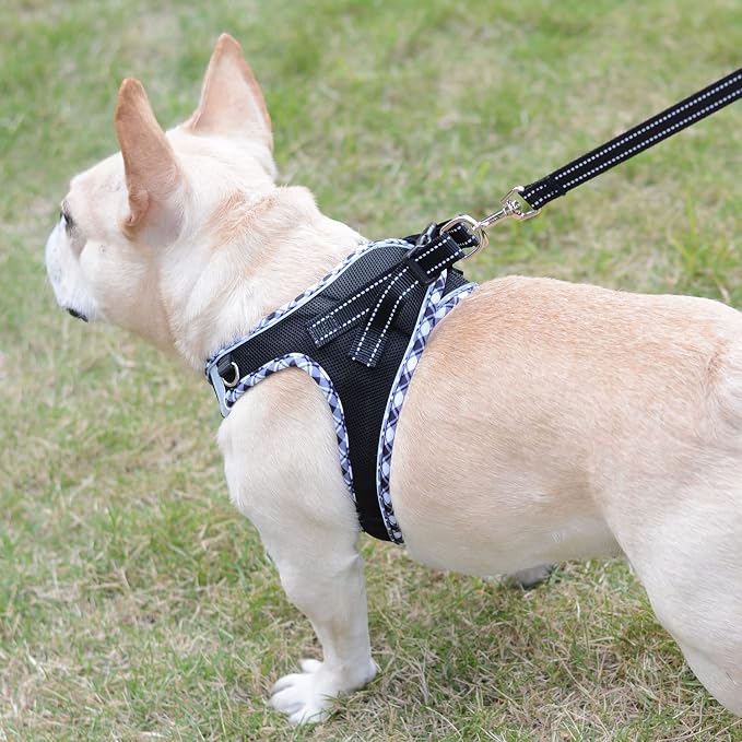 Mercano Soft Mesh Dog Harness and Leash Set, Step-in Reflective Breathable Lightweight Vest Harnesses with Safety Buckle for Small Dogs, Cats (Black White, XXS)