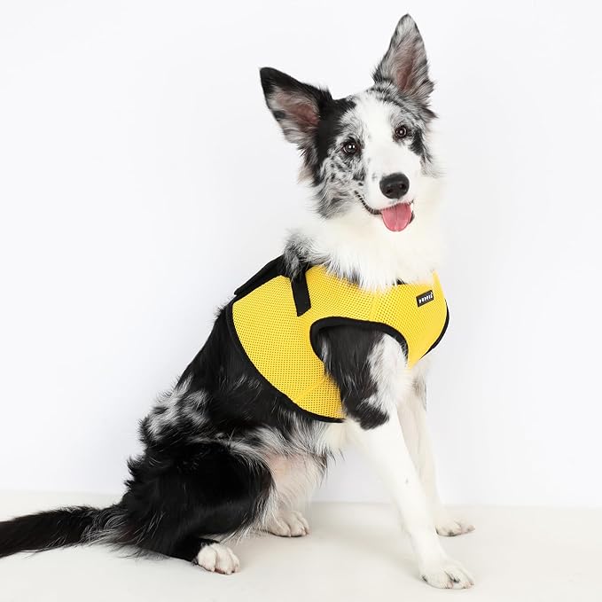 PUPPIA International PUAH305YE3L Soft Vest Harness, 3X-Large