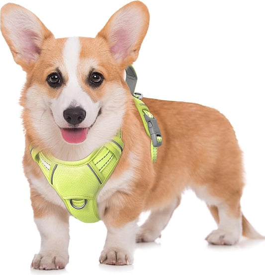 BARKBAY No Pull Dog Harness Large Reflective Dog Harness with Front Clip and Easy Control Handle for Walking Training Running with ID tag Pocket(Sunlight,M)