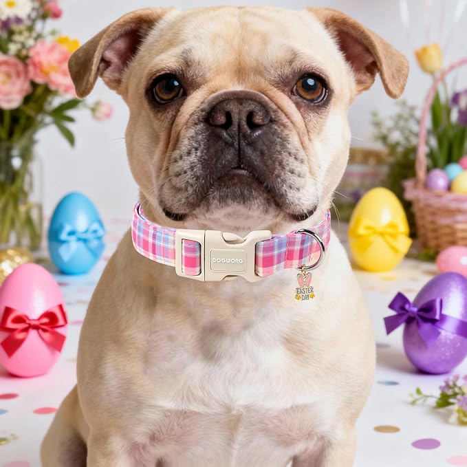 DOGWONG Easter Dog Collar- Cute Easter Plaid Dog Collars Adjustable Girl Female Puppy Dog Collar for Small Dogs, S