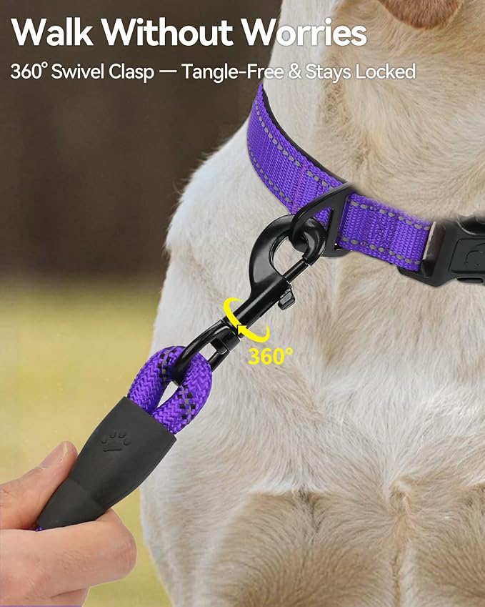 Joytale Dog Leash for Large Dogs, Heavy Duty Nylon Leashes with Comfortable Padded Handle and Highly Reflective Threads, Ideal for Walking and Training, Purple, 6'×1/2''