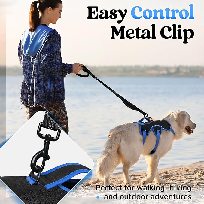 rabbitgoo Escape Proof Dog Harness Large Dogs, Soft Padded Full Body Pet Harness, Reflective Adjustable No Pull Vest with Lift Handle and Leash Clip for Walking Hiking Training, Blue & Black, XL