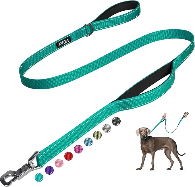 Fida 4 FT Heavy Duty Dog Leash with 2 Comfortable Padded Handles, Traffic Handle & Advanced Easy Snap Hook, Reflective Walking Lead for Large, Medium & Small Breed Dogs, Teal