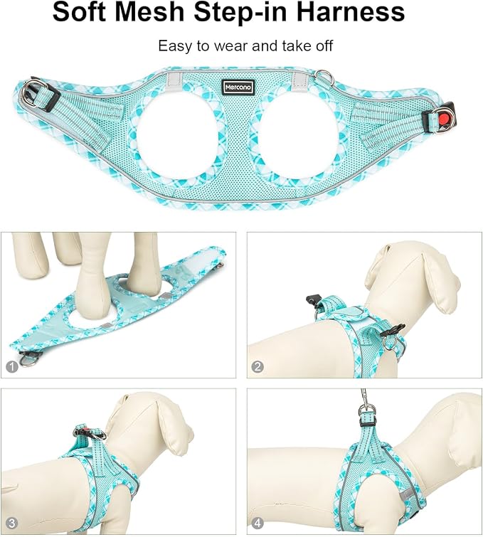 Mercano Soft Mesh Dog Harness and Leash Set, Step-in Reflective Breathable Lightweight Vest Harnesses with Safety Buckle for Small Dogs, Cats (Light Blue, M)